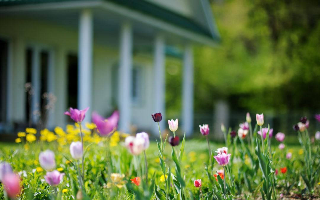 Preparing Your Roof For Spring