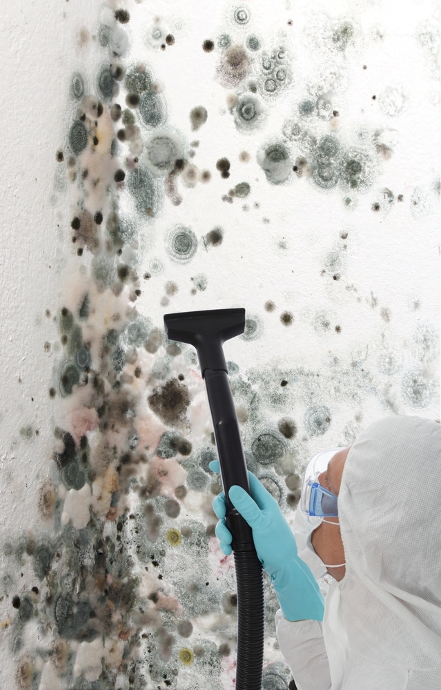 Mold testing and mold removal in Tennessee.