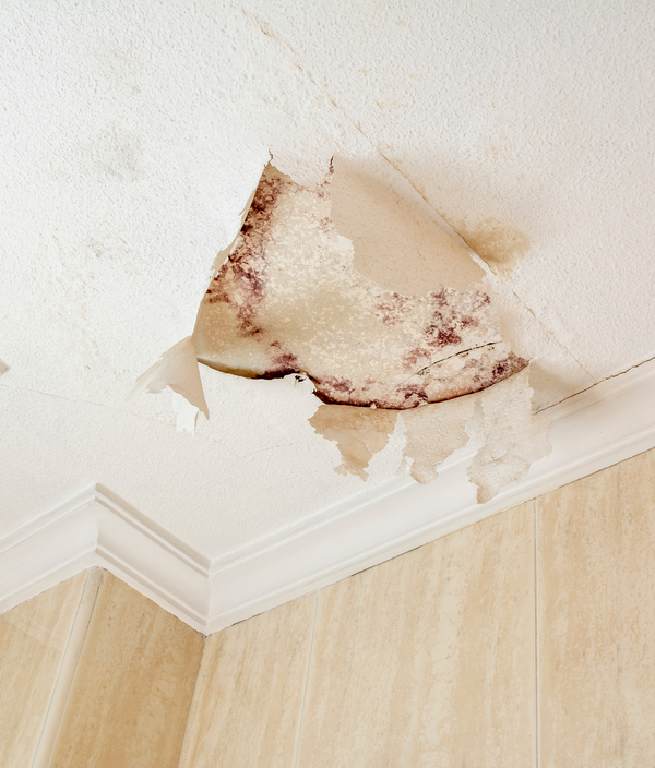 Ceiling damage from a roof leak