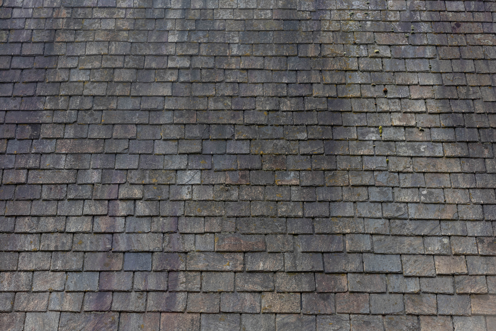 Roof Stains: What Causes Them and How Do You Treat & Prevent It From Happening