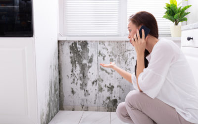 Home Mold: Where to Find It and What It Means for Your Health