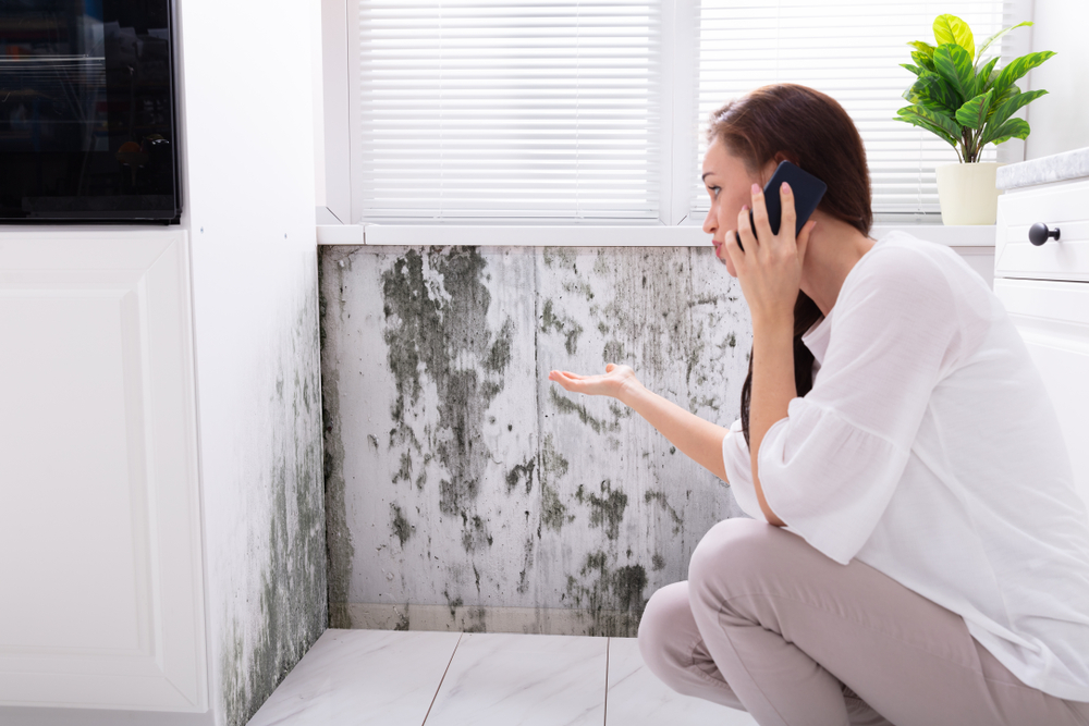 Home Mold: Where to Find It and What It Means for Your Health