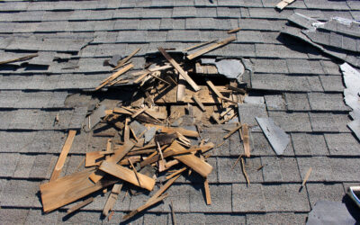 The Top Dangers To Your Roof