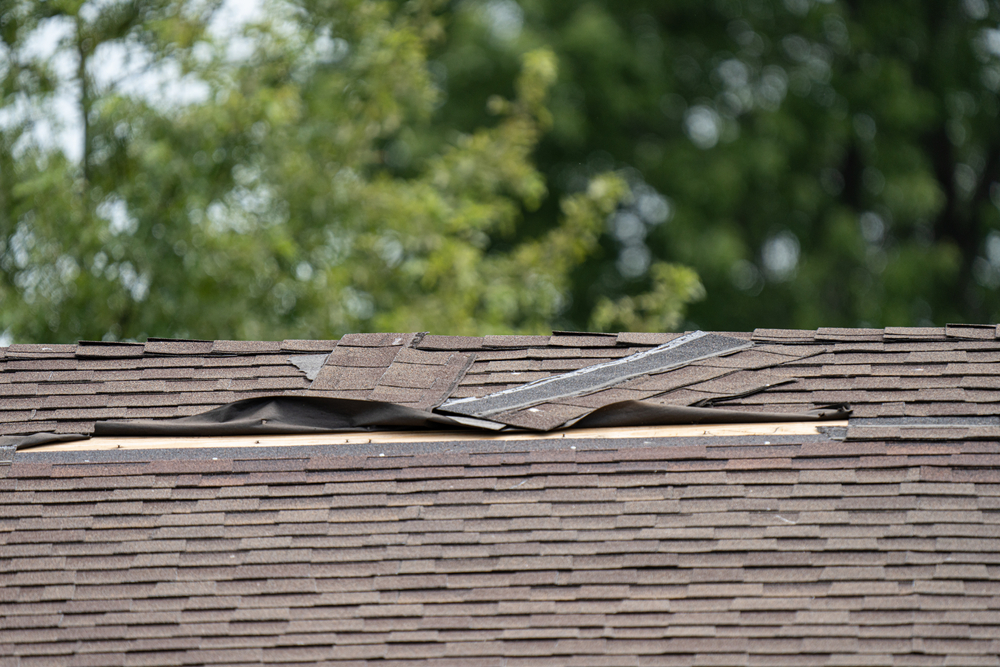 Did High Winds Damage Your Roof?
