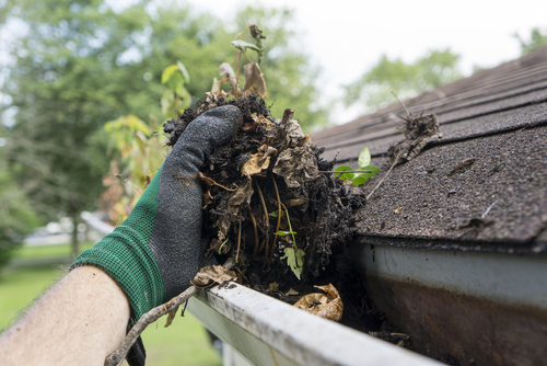 Roof Maintenance