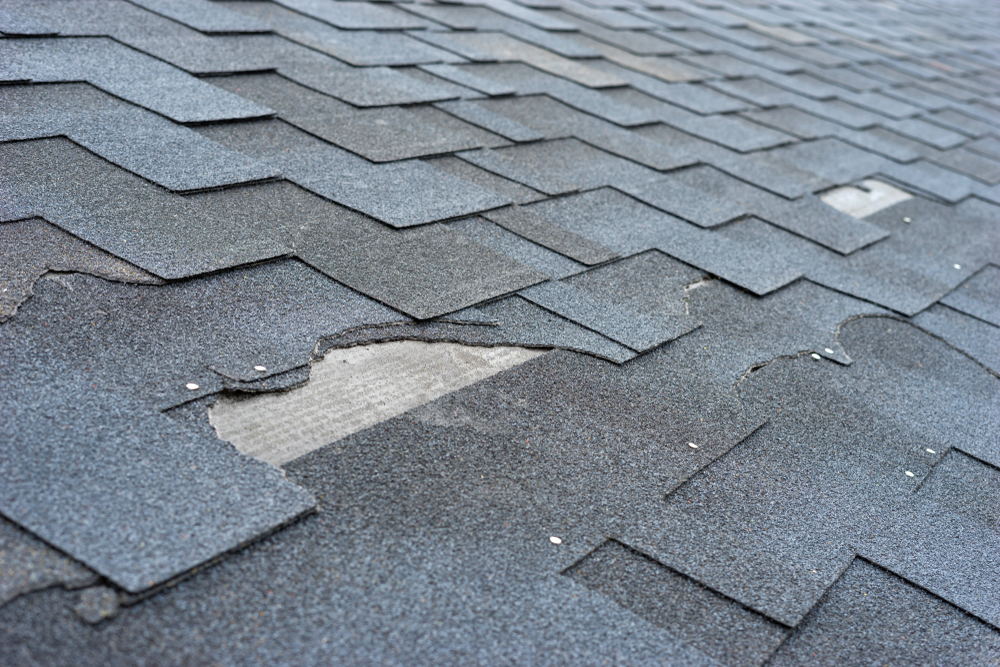 missing asphalt shingle