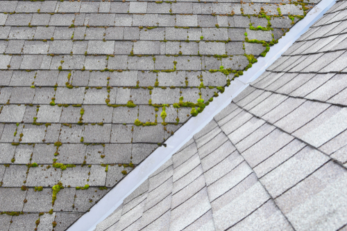 Restored roof shingles