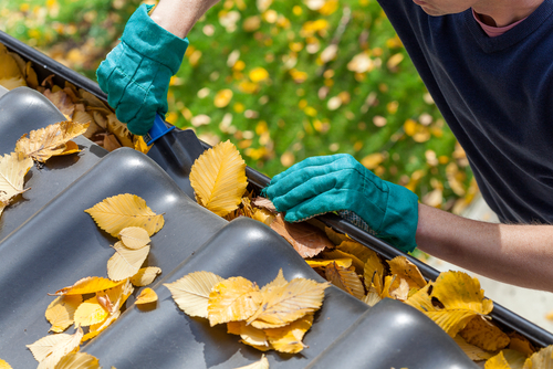 man cleaning out gutters