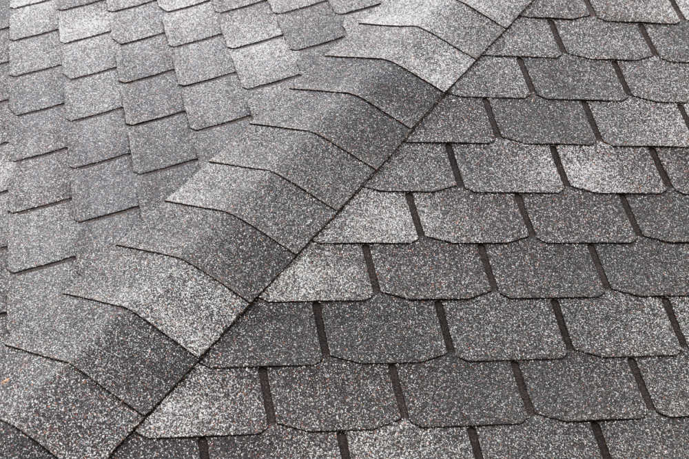 residential shingle roof