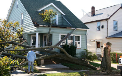 Preparing For a Storm and What Comes After