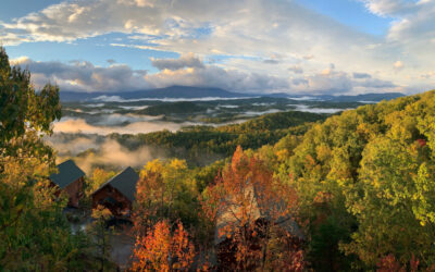 The Right Roof for Your Cabin in Tennessee