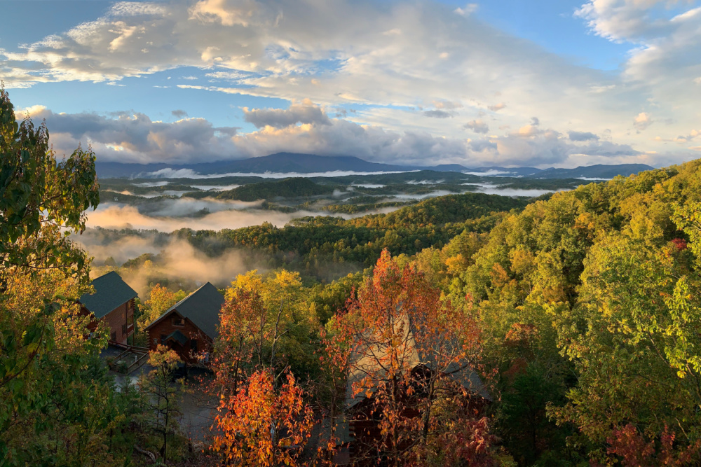 Tennessee Log Cabins among Smoky Mountain trees.