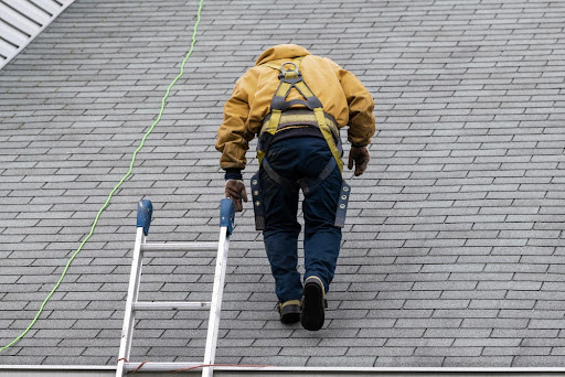 Man inspecting the condition of a roof in Tennessee