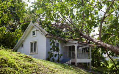Storm Damage Assessment: A Tennessee Homeowner’s Complete Guide
