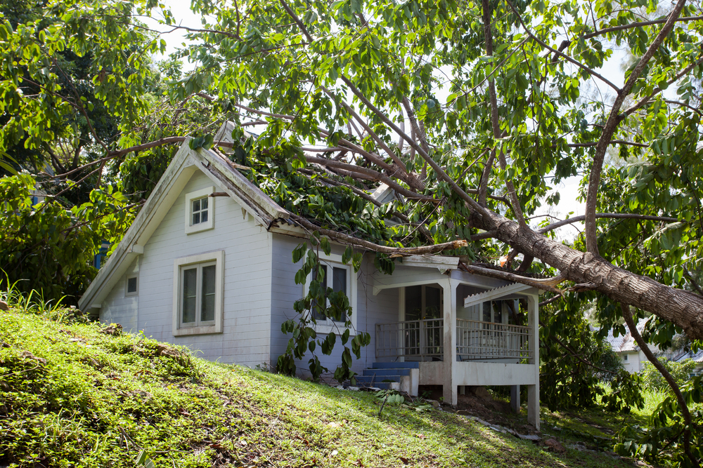 Storm Damage Assessment: A Tennessee Homeowner’s Complete Guide