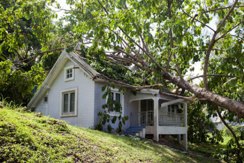 Storm Damage Assessment: A Tennessee Homeowner’s Complete Guide