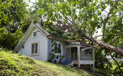 Storm Damage Assessment: A Tennessee Homeowner’s Complete Guide